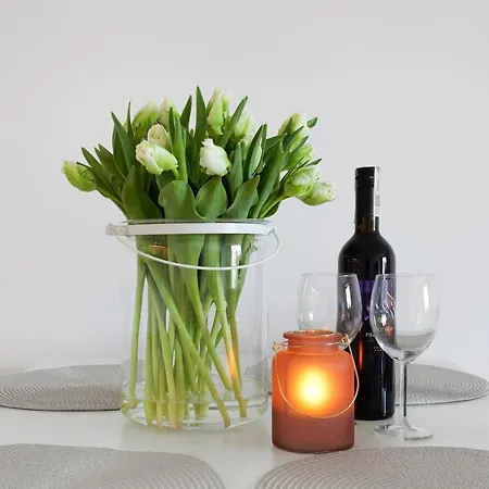 Elite Nadmorski Brzeźno Apartament *